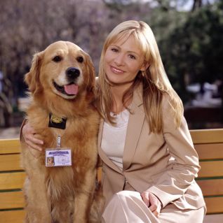 Sue Thomas: F B Eye TV Series (2002) Larry McLean Bruce Pittman Sue Thomas: F B Eye TV Series (2002) Larry McLean Bruce Pittman